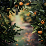The Low Hanging Fruit
